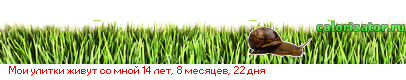 082fTKpf000JzQvtC4INGD0LvQuNGC0LrQuCDQtt