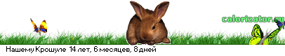 http://www.calorizator.ru/line/08CcGNo0000J3QsNGI0LXQvNGDINCa0YDQvtGI0YPQu9C1IA.gif