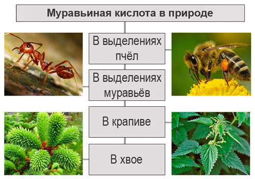 E236 Муравьиная кислота - действие на здоровье, польза и вред, описание ...