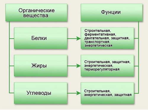 Когда есть углеводы для похудения