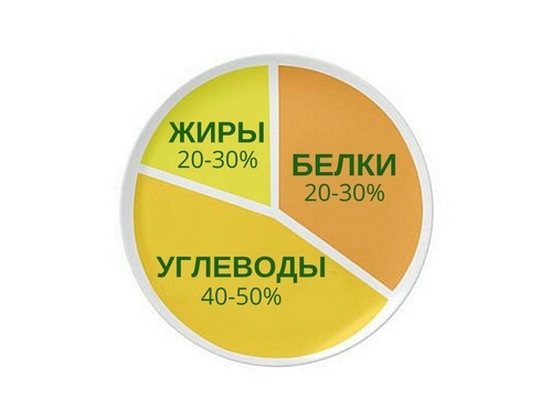 Как приготовить винегрет в домашних условиях со свежей капустой