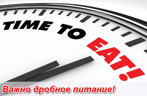 Редко принимать пищу
