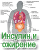 Влияние инсулина на развитие ожирения
