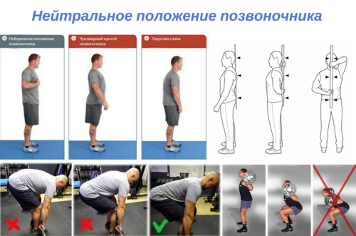 Нейтральное положение позвоночника Нейтральное положение позвоночника