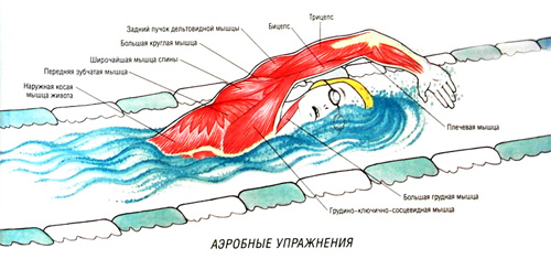В бассейне