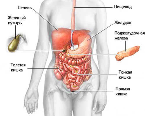 клизма от паразитов отзывы клизма от паразитов отзывы