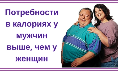 похудей