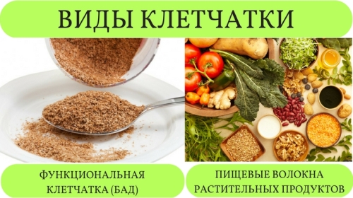 клетчатка против паразитов клетчатка против паразитов