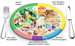 Польза молочных продуктов в похудении