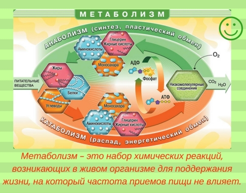 похудеть на дробном питании за месяц похудеть на дробном питании за месяц