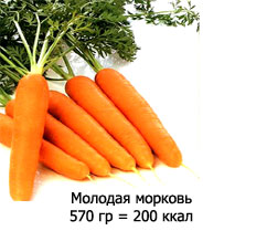 Молодая морковь 570 гр = 200 ккал