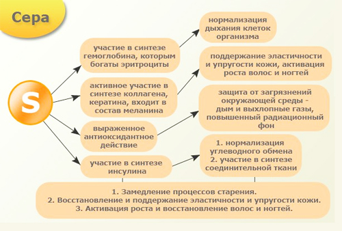 Картинки по запросу сера картинки