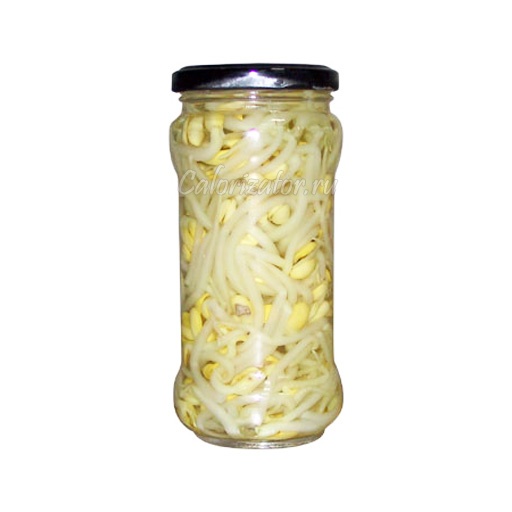 Фасоль: полезные свойства продукта в 2019 году Фасоль: полезные свойства продукта в 2019 году