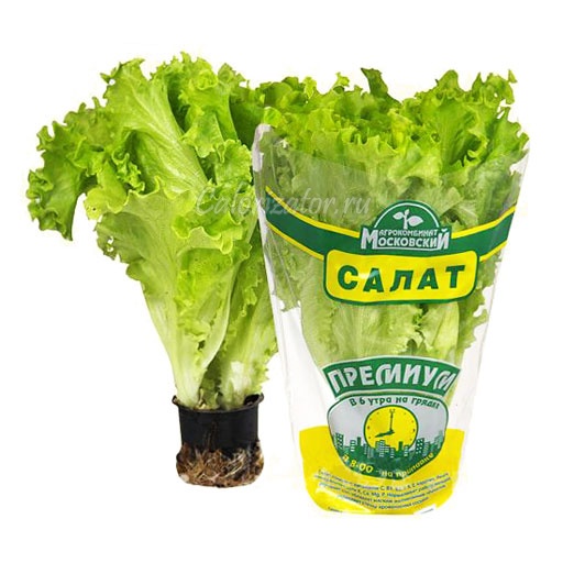 Лист салат калорийность — pic 7