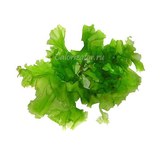 Водоросль ульва - калорийность, полезные свойства, польза и вред ...