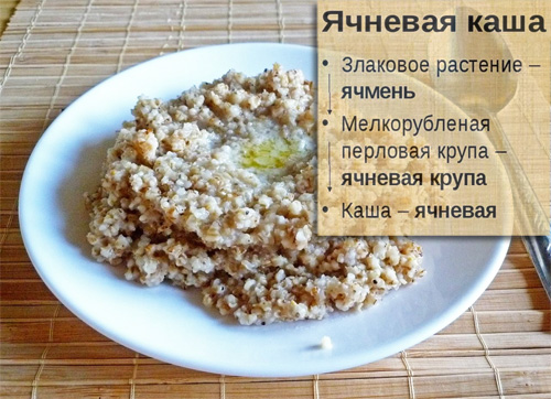 Ячка полезные свойства Ячка полезные свойства