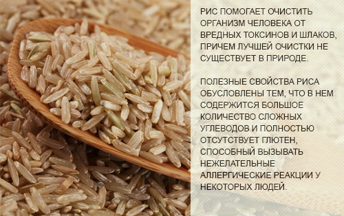 Рис бурый - калорийность, полезные свойства, польза и вред, описание ...