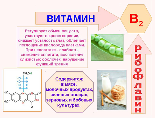 Полезные свойства витамина В2