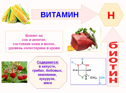 Витамин B7 (Биотин, витамин Н, коэнзим R) - влияние на организм, польза ...
