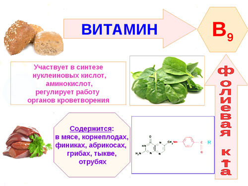 Фолиевая кислота: недостаток и избыток фолиевой кислоты, нормы фолиевой кислоты Фолиевая кислота: недостаток и избыток фолиевой кислоты, нормы фолиевой кислоты