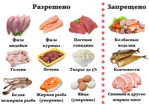 Разнообразные источники белка