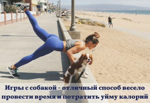 Особенности прогулки в зависимости от породы