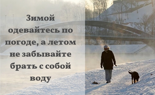 Прогулка с собакой в разное время года