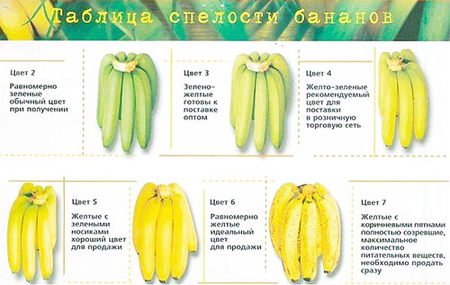 Банан калорийность свойства и противопоказания thumbnail