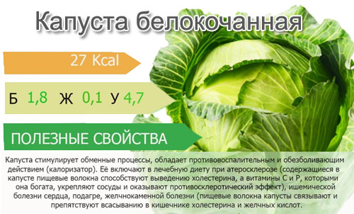 Капуста белокочанная калорийность и польза Капуста белокочанная калорийность и польза thumbnail