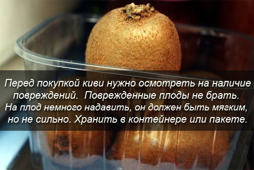 Выбор и хранение киви