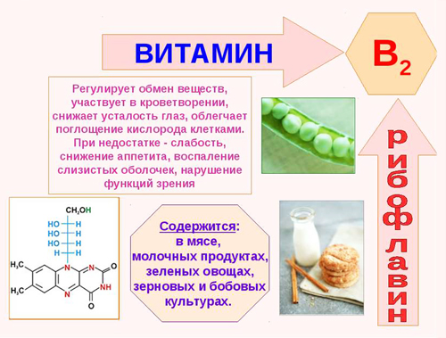 Рибофлавин при жирной коже thumbnail