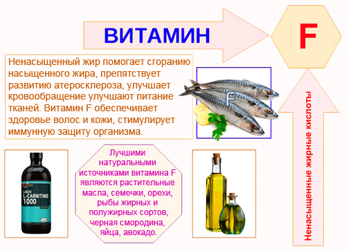 Полезные свойства витамина F